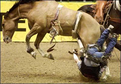 rodeo-1.jpg