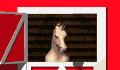 caballo1gif-1.jpg