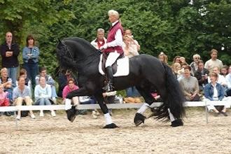 Pagina13_IMG_OBJ22-1.jpg