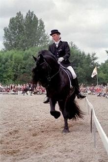 Pagina13_IMG_OBJ37-1.jpg