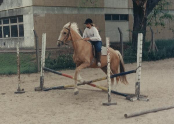 SiLcab0003-1.jpg