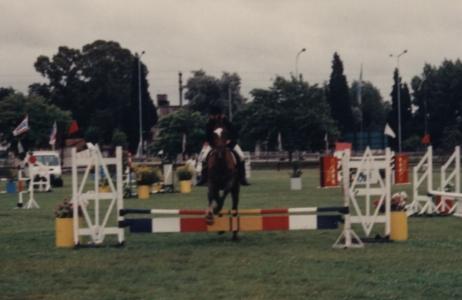 SiLcab0012-1.jpg