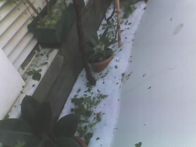 07020514497xx-1.jpg