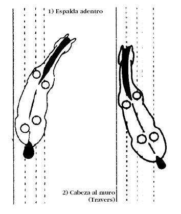 espalda3cz-1.jpg