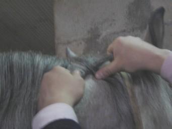 trenza32oi-1.jpg