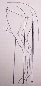 bienaplomadodetras5dm-1.jpg