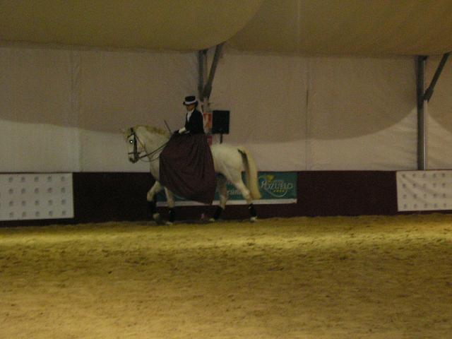 imagen0047tc-1.jpg