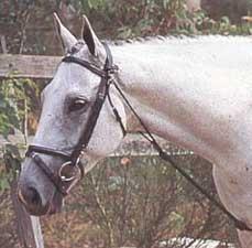 chambon10nk-1.jpg