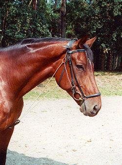 chambon35qr-1.jpg