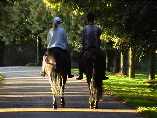 jinetesdepaseo1od-1.jpg