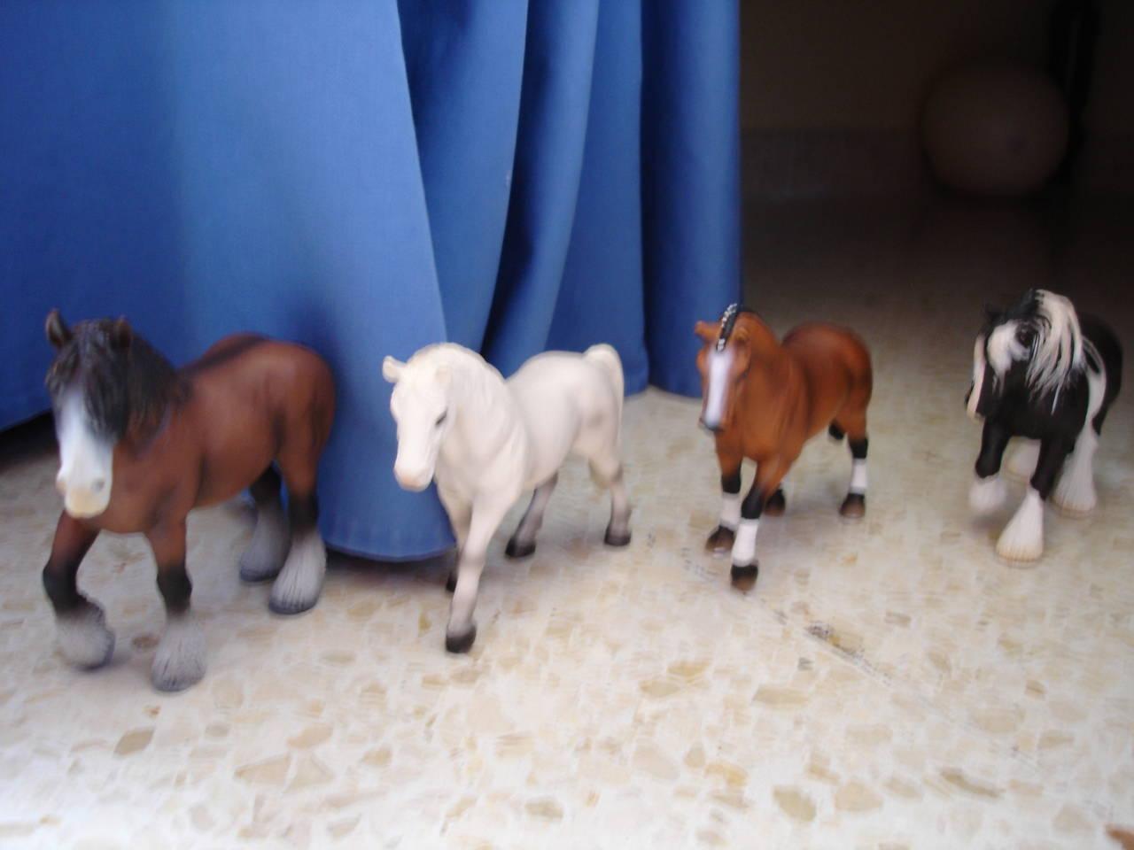 dsc048334iq-1.jpg