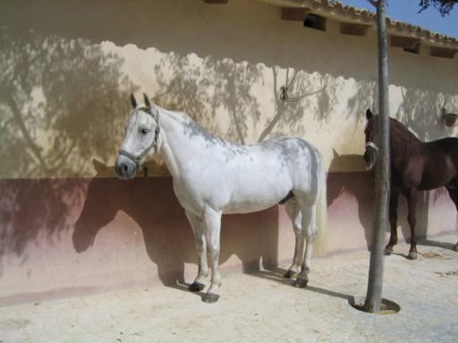 125ag-1.jpg