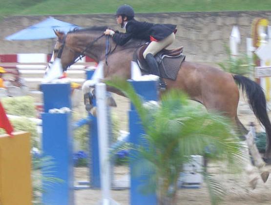 concursofoto1gl-1.jpg
