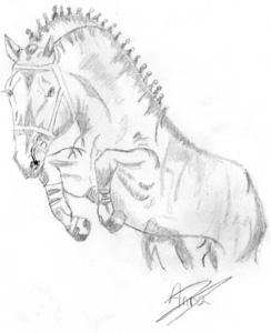 dib_epona3-1.jpg