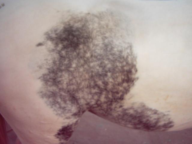 img01324ef-1.jpg