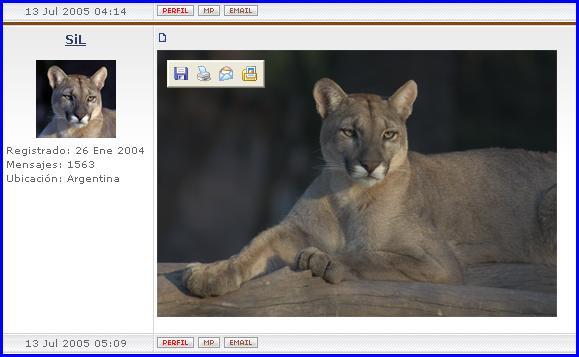 puma5re-1.jpg