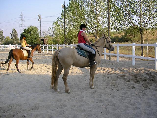 imagen0016fg-1.jpg