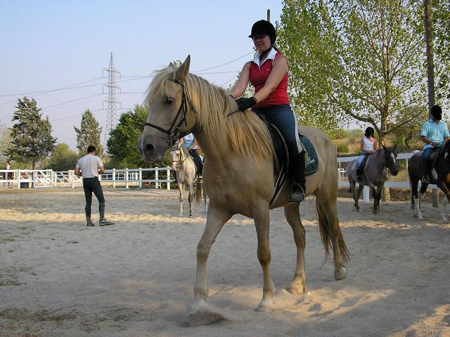 imagen0080zc-1.jpg