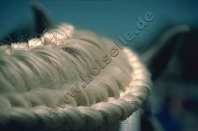 imagenescris6619ip-1.jpg