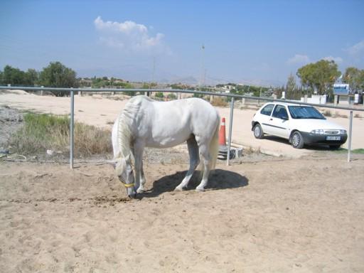 119bh-1.jpg