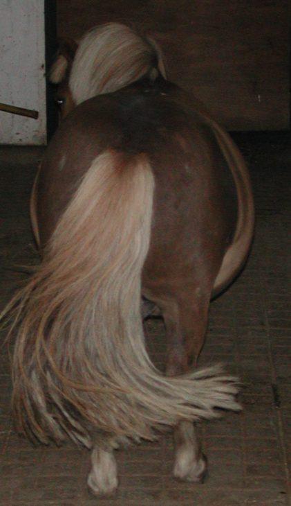 1carolo3006055oc-1.jpg