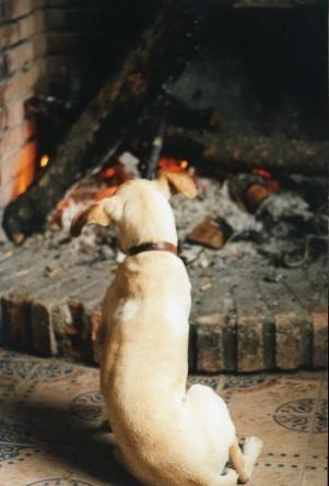 chimenea7zl-1.jpg
