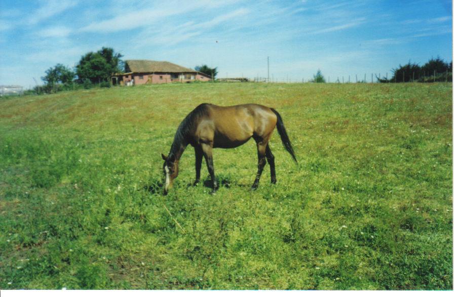 montillay0sk-1.jpg
