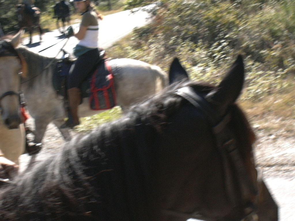 p10208350hv-1.jpg