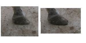 pata5gy-1.jpg