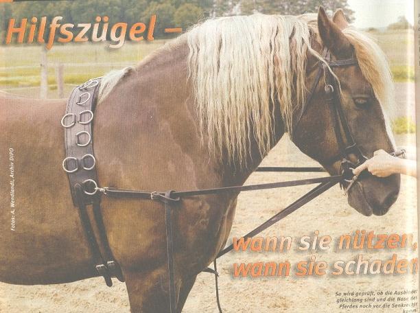 riendasauxiliaresasisi7kz-1.jpg