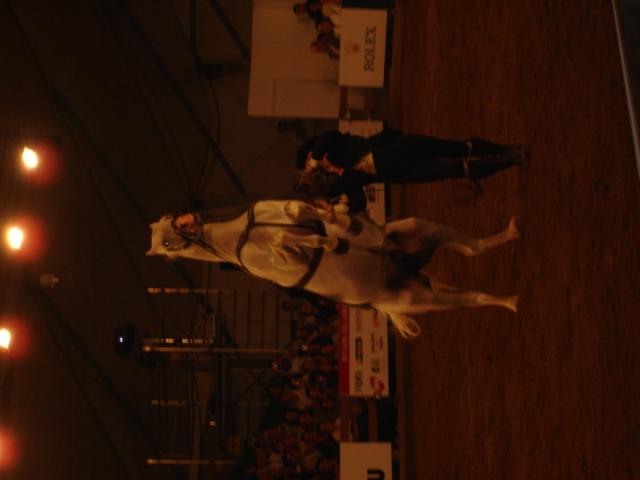 camara0472jo-1.jpg
