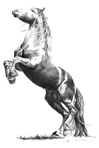 frisonoriginalweb1ii-1.jpg