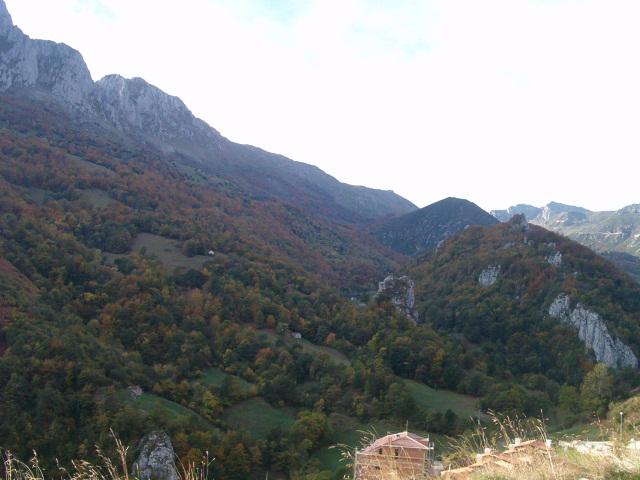hpim53455cb-1.jpg