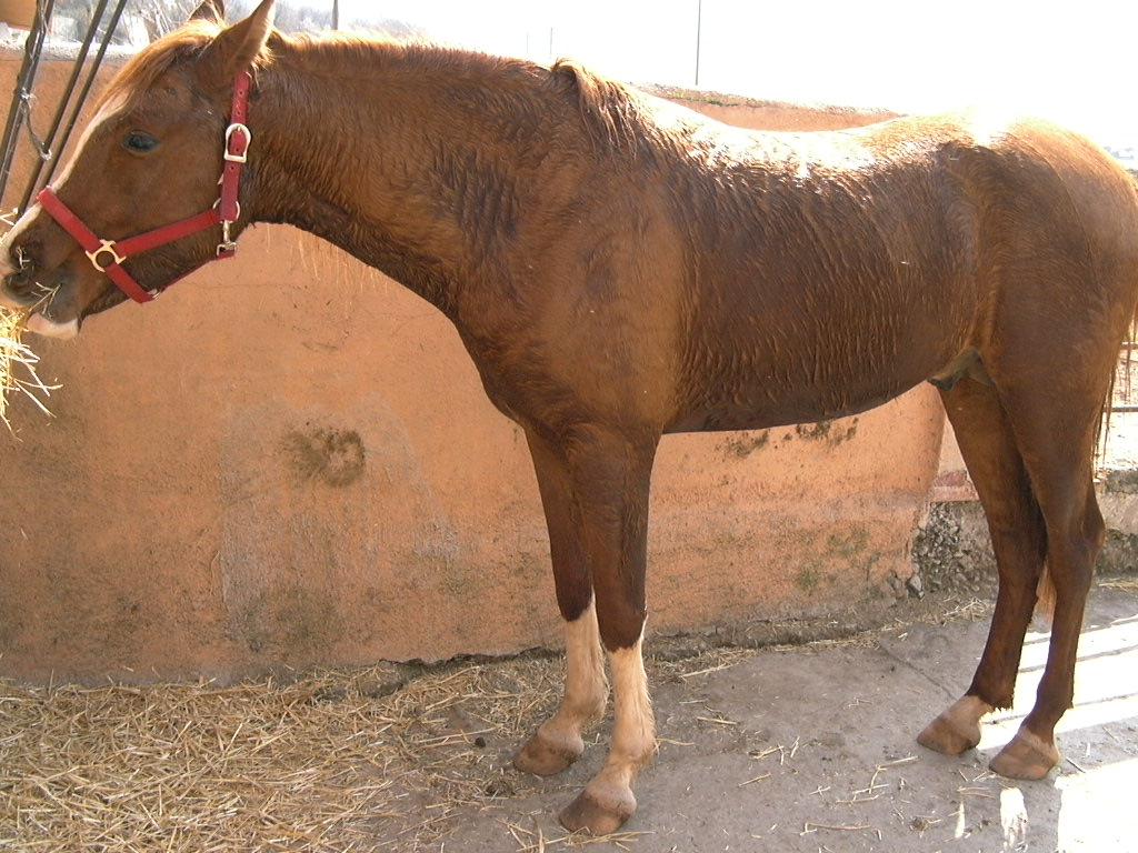 p10005775ew-1.jpg