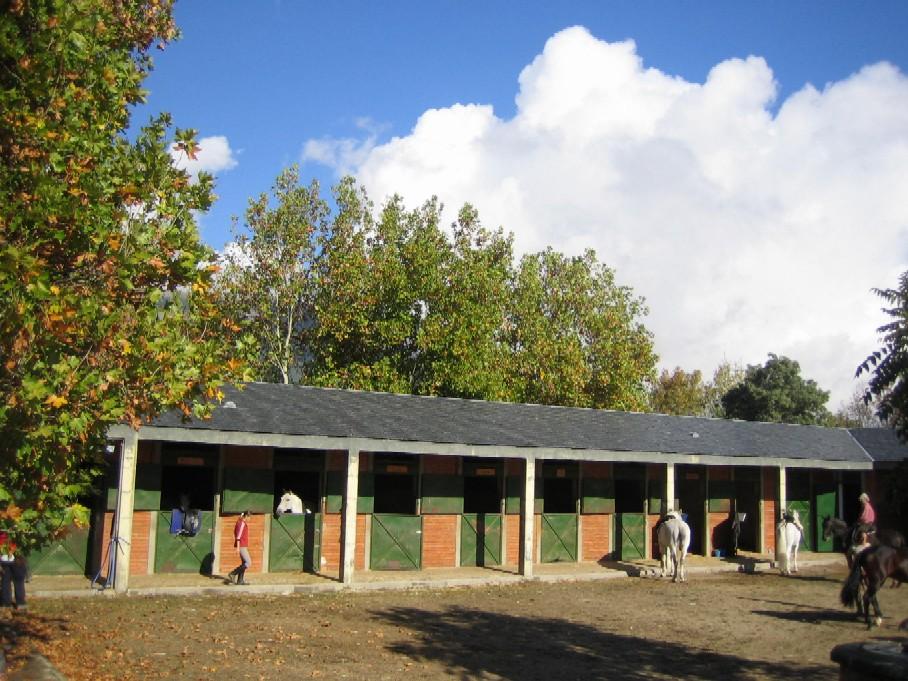 patio2rn-1.jpg