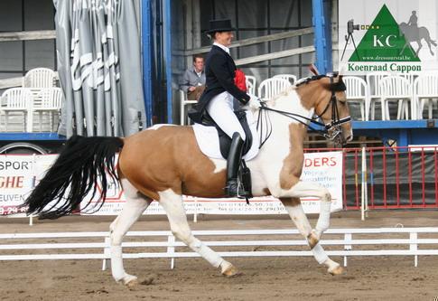 sophieshowgirl4kc9858b0rq-1.jpg