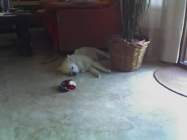 02070403197nt-1.jpg