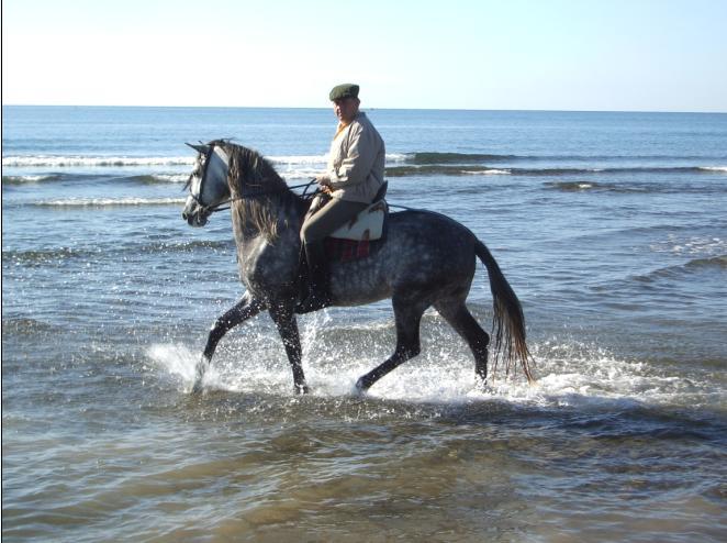 bandoleroenelagua1ed-1.jpg