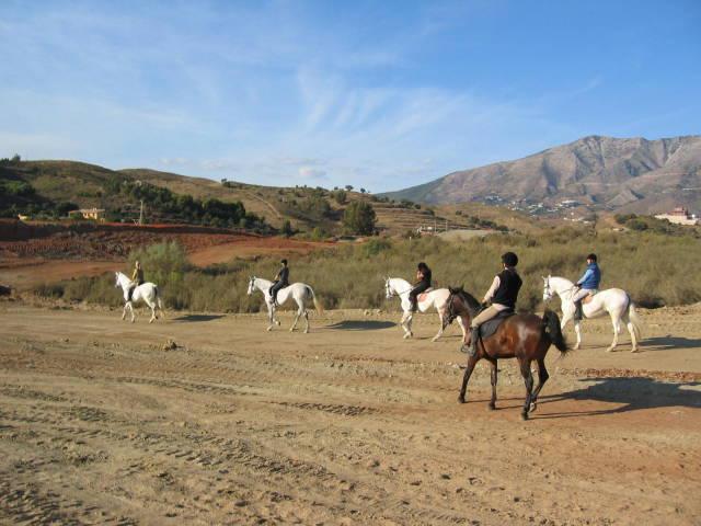 campo5noviembe050092kv-1.jpg