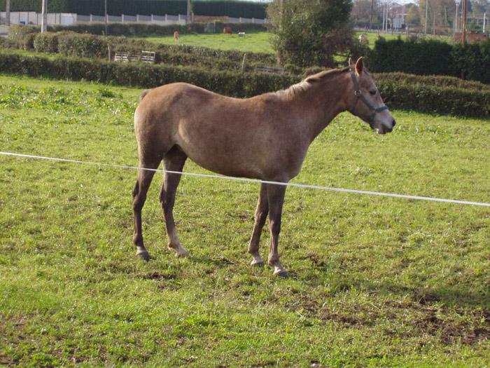 canela6yo-1.jpg