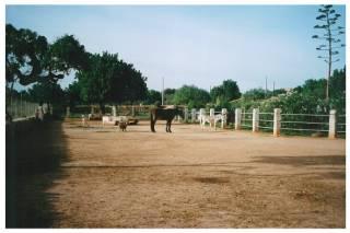 corraldesierto3ae-1.jpg