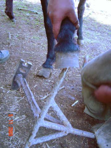 dsc000173jh-1.jpg