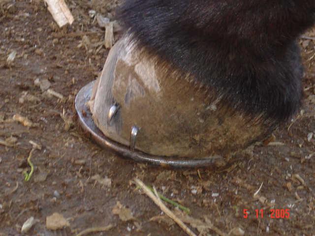 dsc000209jk-1.jpg