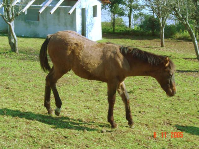 dsc000407en-1.jpg