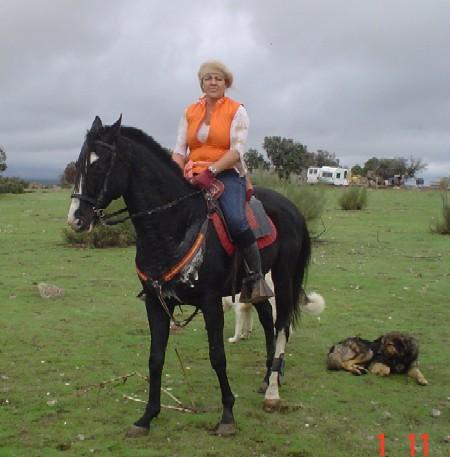 ebano11105b9wj-1.jpg