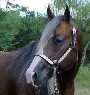 headsmaller3hx-1.jpg