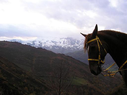 hera1120057lu-1.jpg