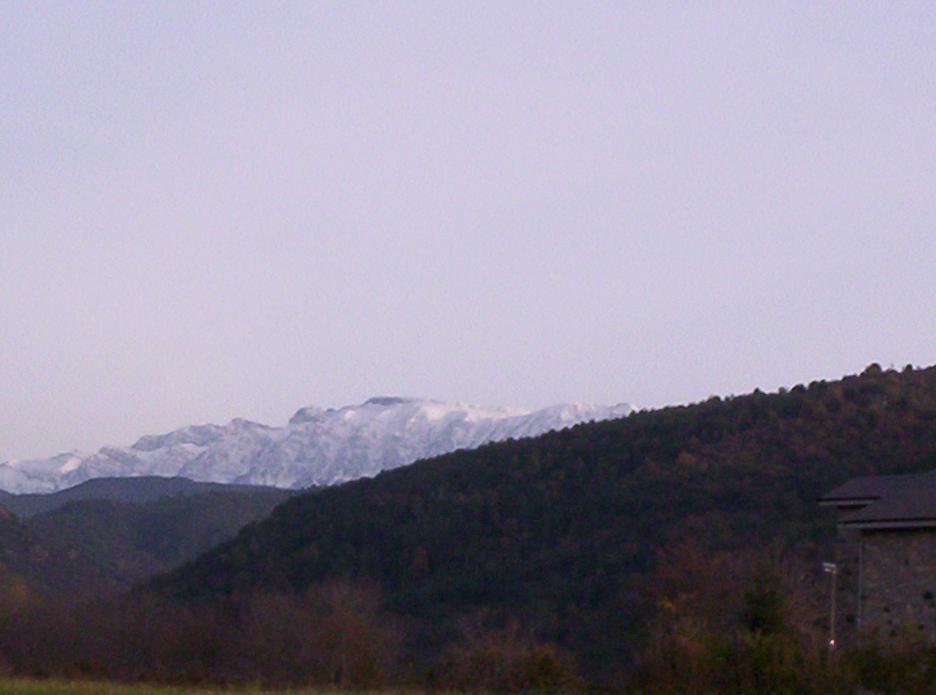 mf0334rp-1.jpg