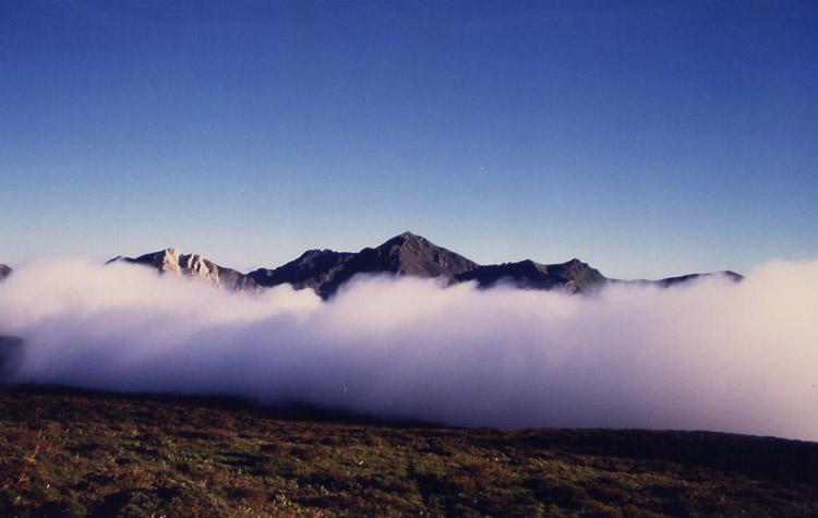 niebla9qt-1.jpg