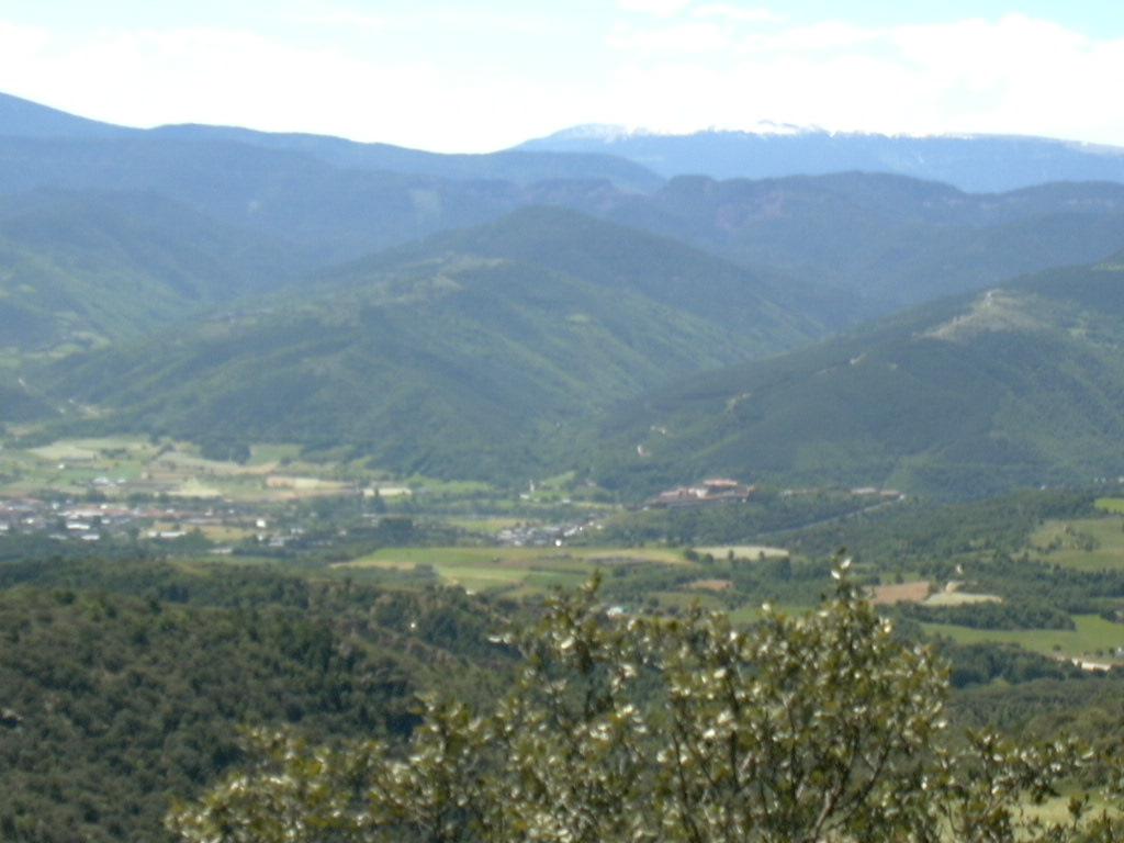 p10205489qs-1.jpg